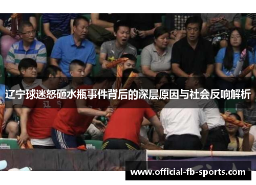 辽宁球迷怒砸水瓶事件背后的深层原因与社会反响解析