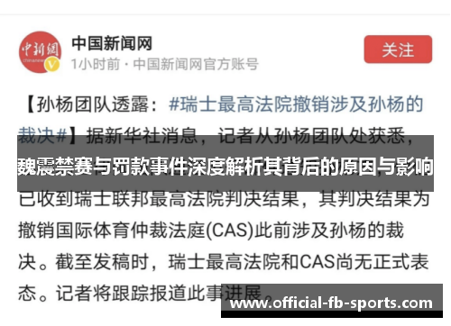 魏震禁赛与罚款事件深度解析其背后的原因与影响