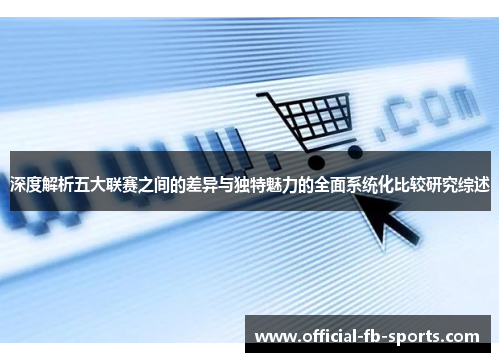 深度解析五大联赛之间的差异与独特魅力的全面系统化比较研究综述