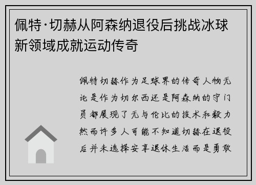 佩特·切赫从阿森纳退役后挑战冰球新领域成就运动传奇