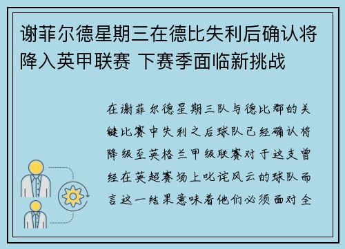 谢菲尔德星期三在德比失利后确认将降入英甲联赛 下赛季面临新挑战
